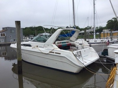 Sea Ray 300 Sundancer 1993