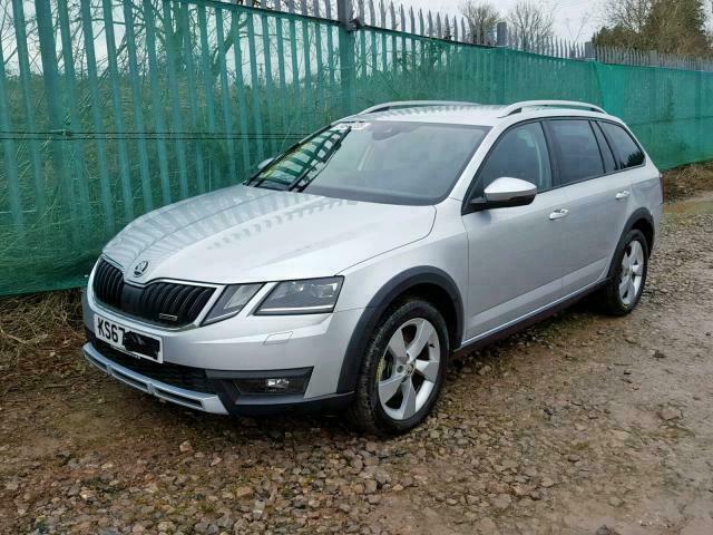 Only skoda спб