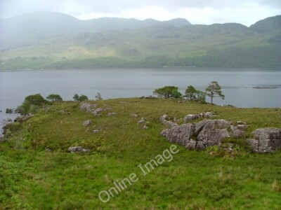 Photo 6x4 Moorland and trees Letterewe Overlooking Loch Maree. c2011