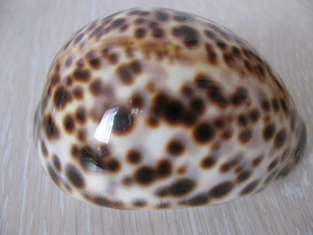 Picture 2