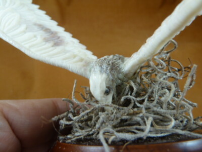 EAGLE-36 Eagle wings out on nest shed ANTLER figurine Bali detailed carving