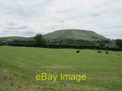 Photo 6x4 Cattle, Carrowneden Belra A view over some well drained pasture c2012