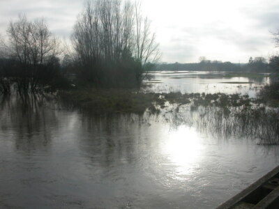 Photo 6x4 Canford Magna, floodplain Little Canford The River Stour regula c2008