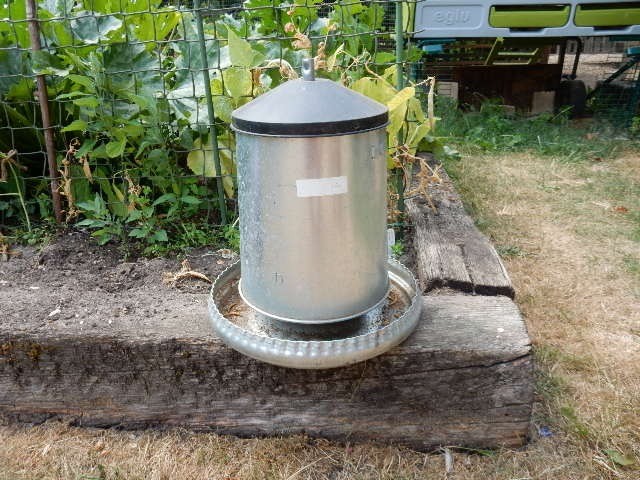 Metal Gravity Feed Chicken Feeder In Woking Surrey Gumtree