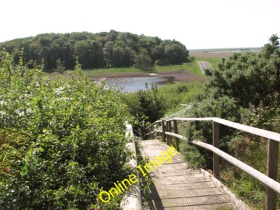 Photo 6x4 View from the bird hide at Walsey Hills Newgate/TG0543 Snipes  c2014