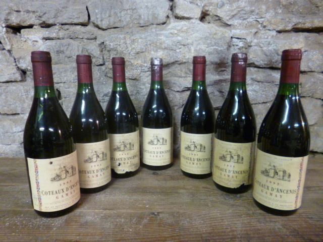 7 Bouteilles Coteaux D'Ancenis Gamay  - 1995