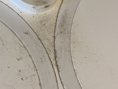Artikelfoto(s) von einem verifizierten Käufer