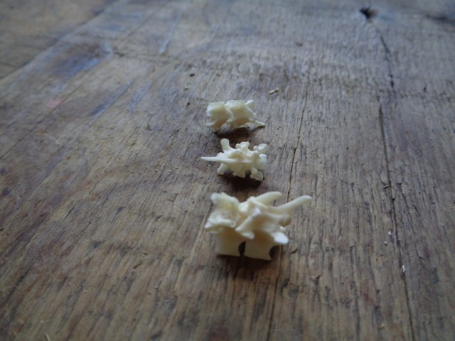 No. 6 Bone Deformity Real Snake Vertebrae Bones Lot