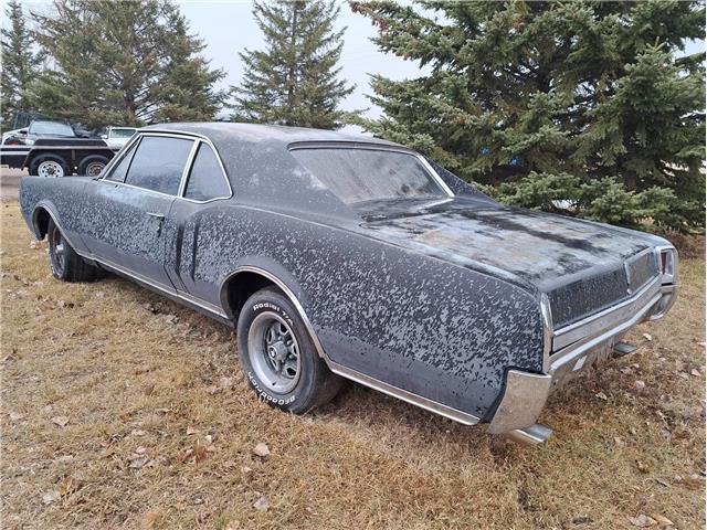 Owner 1967 Oldsmobile Cutlass Supreme