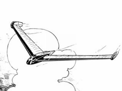 Aile Volante Flying Wing glider 62'' WS RC Airplane Printed Plans & Templates