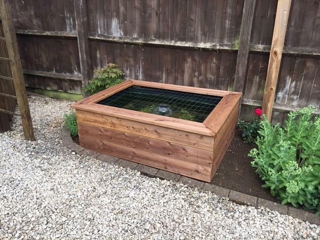 Raised 100 gallon pond with fish in Abingdon 