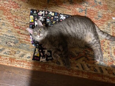 Item photo(s) from verified buyer