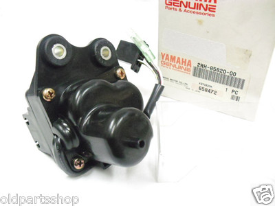 Yamaha TZR125 Servo Motor Unit NOS TZR 125 Engine Valve Assy Yamaha TZR125 Servo Motor Unit NOS TZR 125 Engine Valve Assy