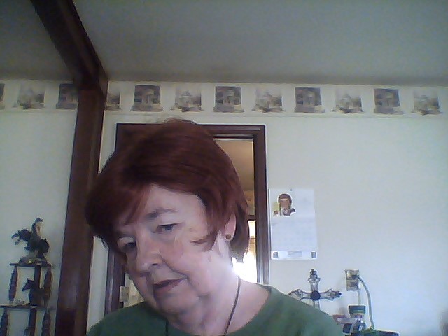 Dolly Pardon  Auburn wig