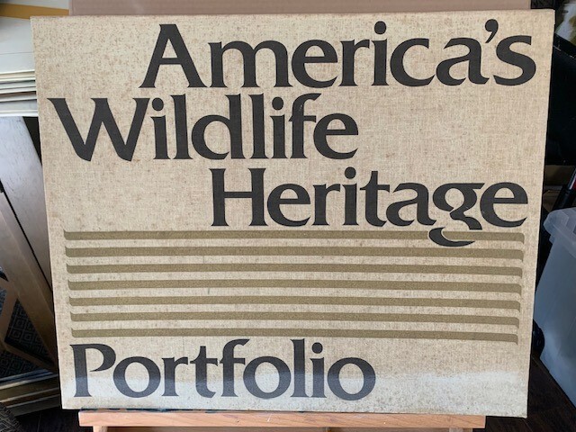 Twenty American Artists　Portfolio 617Au2wCa0L._UF350,350_QL50_.jpg