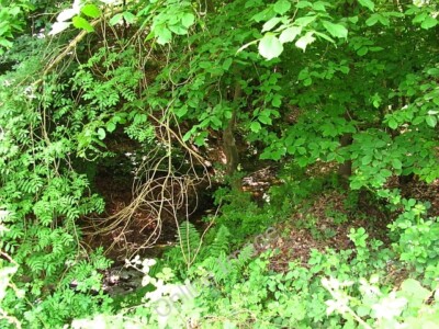 Photo 6x4 Eddlewood Burn Hamilton/NS7255 Here the burn runs through a de c2011