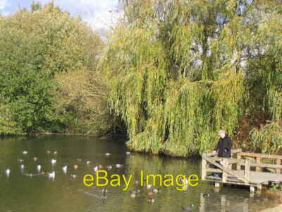 Photo 6x4 Hungry Ducks at Black Dam Basingstoke Black dam in Basingstoke  c2005