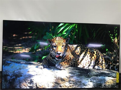 Sony OLED 77-inch BRAVIA XR A80L Series 4K Ultra HD TV Smart Google TV