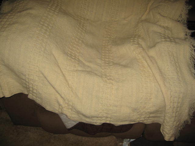Vintage PENDLETON Ivory Texture Weave Wool Blanket Fringed  Throw 48