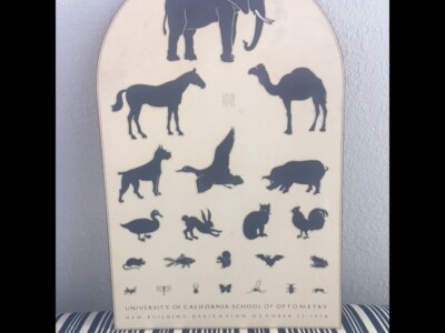 University of California School of Optometry Eye Chart 1978 Vintage Memorabilia.