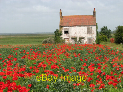 Photo 6x4 Farm cottages in a field of poppies, Belton Bradwell The poppie c2011