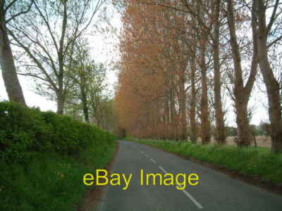 Photo 6x4 North Hayling Tye A much nicer road to take than the main one w c2006