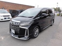 2025 Toyota Alphard EXECUTIVE LOUNGE MODELISTA  CAR VX BIMTA Petrol Automatic