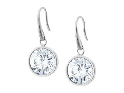 Michael Kors Earrings MKJ5507040 New Colour Silver Earrings