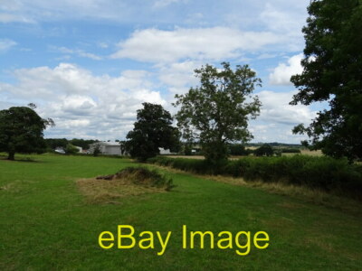 Photo 6x4 Grazing and hedgerow Dunstall Common  c2021