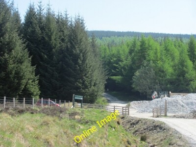 Photo 6x4 Foss mine road Tummel Bridge Conifer plantation above Strath Tu c2012