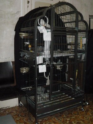 Artikelfoto(s) von einem verifizierten Käufer