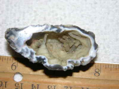 Agate geode half cut and polished with druzy crystal filled center 2'' U39
