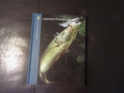 Fliegenfischen Fliegen Fast Sinking Wet Flies Lure Für Bass Salmon Gold