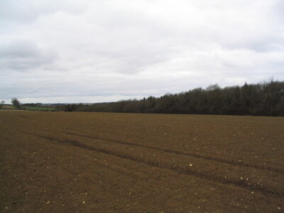 Photo 6x4 Launde Park Wood Belton-in-Rutland  c2006