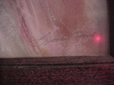 BROOKE FORD FRAMED BEHIND GLASS 13X19 PASTEL PORTRAIT OF LADY