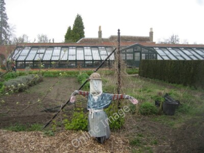 Photo 6x4 Scarecrow in the walled garden Old Wimpole Wimpole Hall. On thi c2009
