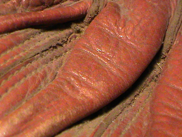 Vintage 1950s Denkert Eddy Fitz Gerald Leather Baseball Glove Catchers Mitt