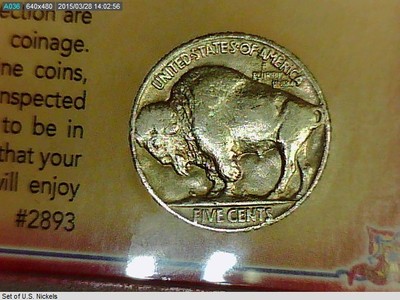 1903-2006 Set of U.S. Nickels (US7)