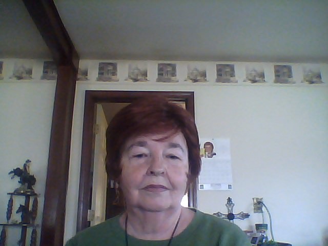 Dolly Pardon  Auburn wig