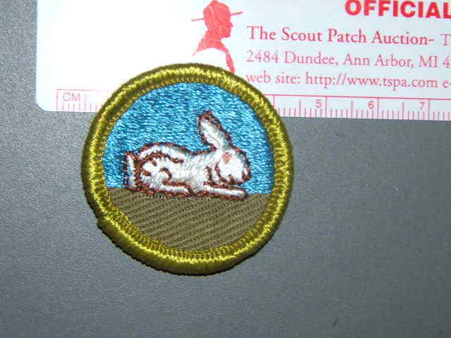 Boy Scout Merit Badge Rabbit Raising 