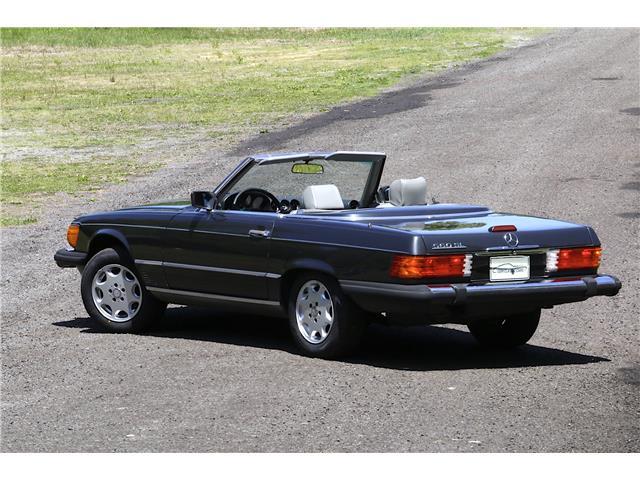 Owner 1989 Mercedes-Benz 560SL