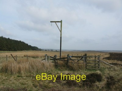 Photo 6x4 Winter's Gibbet Steng Cross In 1791 the body of William Winter  c2017