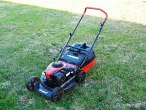 masport mulch and catch mower