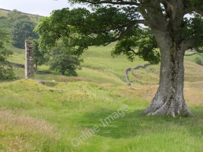 Photo 6x4 Ruin and tree, Providence Lead Mine Near Hardcastle A reverse v c2011
