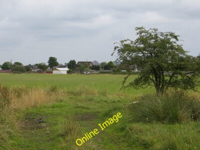 Photo 6x4 Bents from outside Whitburn/NS9464 View through straggly thorn c2014