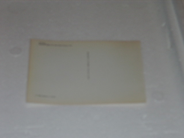 BLUES Post Card; Roosevelt Sykes, Nice photograph;  photo postcard