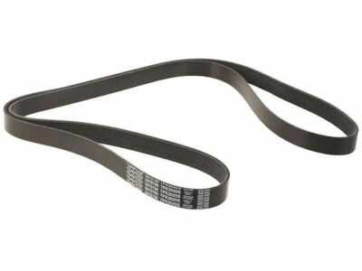 Air Conditioning, Alternator and Power Steering Multi Rib Belt fits Q70 11BVTZ