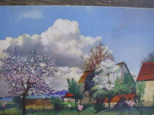 7158 Ak Seifersdorf B. Dresden Anciennes Maisons Arbres 1920