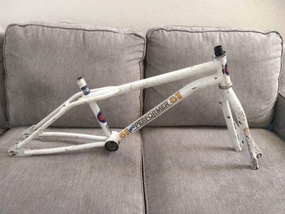 1986 Gt Pro Performer Serial Numbers