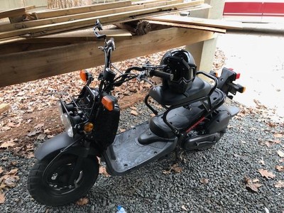 2014 Honda Ruckus